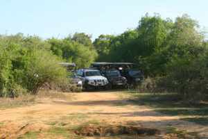 Yala National Park