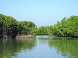 Negombo Lagoon 1456726995 1