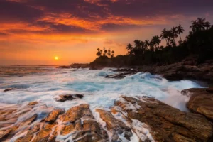 beautiful-sunset-sandy-beach-with-palm-trees-sri-lanka-sesatha-travel