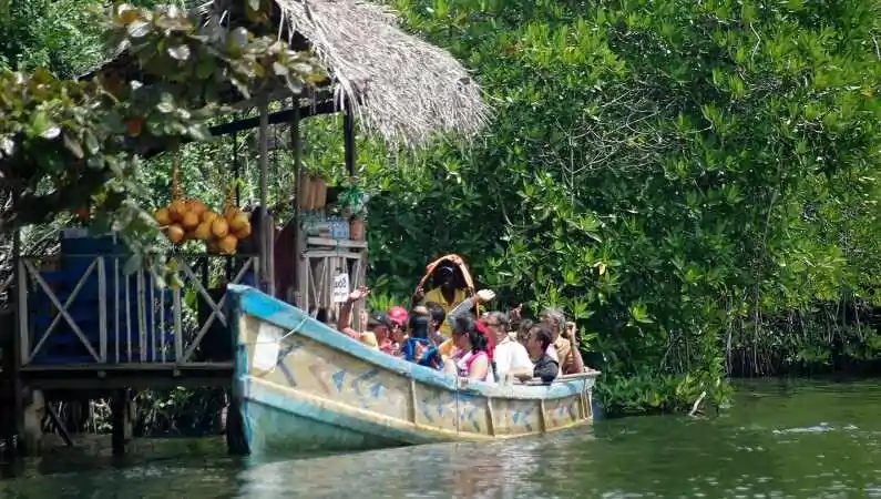 Scenic boat tour on Madu River with private tours in Sri Lanka