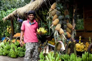 Dambulla Market