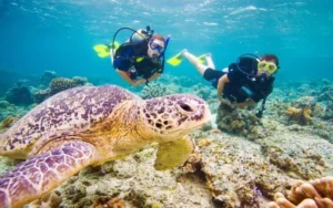 Mirissa Diving and Snorkelling