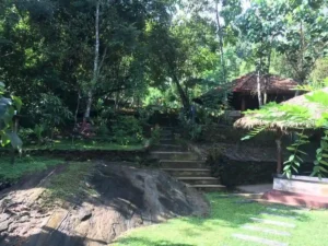 forest Glamping Kitulgala