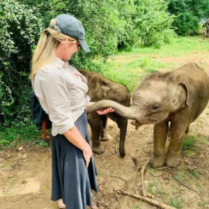 udawalawe baby Elephant