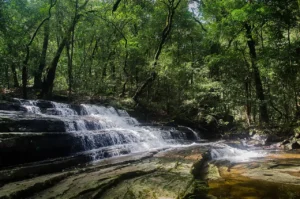 1280px Waterfall Knukles mountain range SriLanka