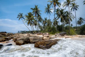 Top 10 Sri Lanka Beach Holidays: The Ultimate Guide to Sun, Sand, and Surf